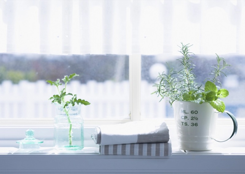 AeroGarden Harvest Elite indoor garden