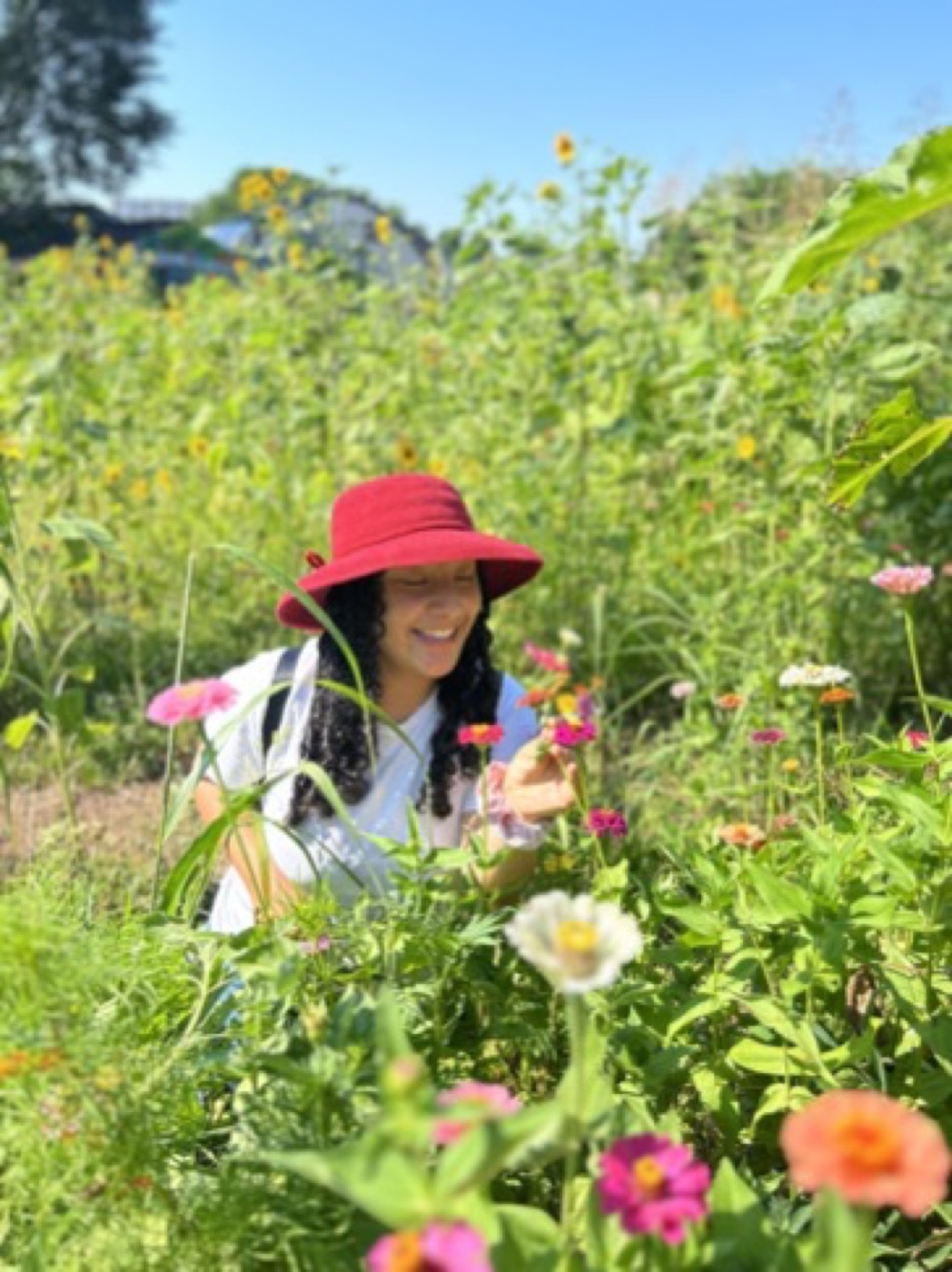 Guest picking flowers at the Urban Sprout Farms U-Pick experience