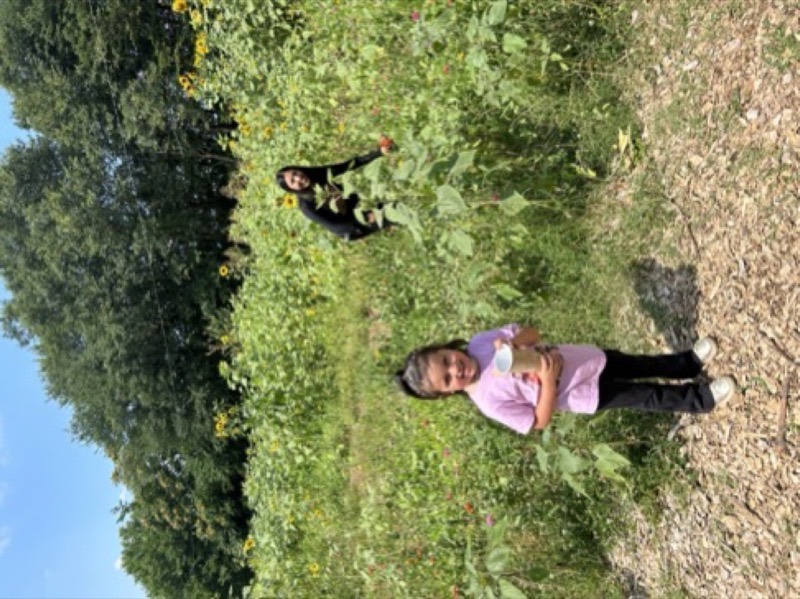 A parent and child picking flowers together in the beds at Urban Sprout Farms
